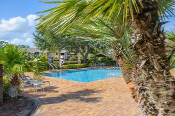 Our apartments showcase a swimming pool